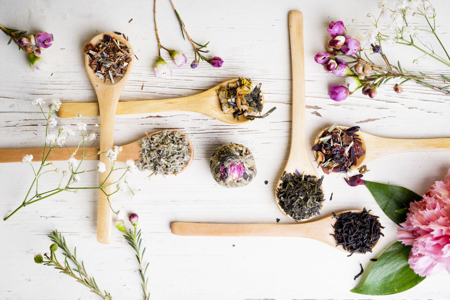 Wildcraft Teas and Herbal Farmacy